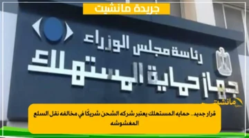 قرار جديد.. حماية المستهلك يعتبر شركة الشحن شريكًا في مخالفة نقل السلع المغشوشة 1